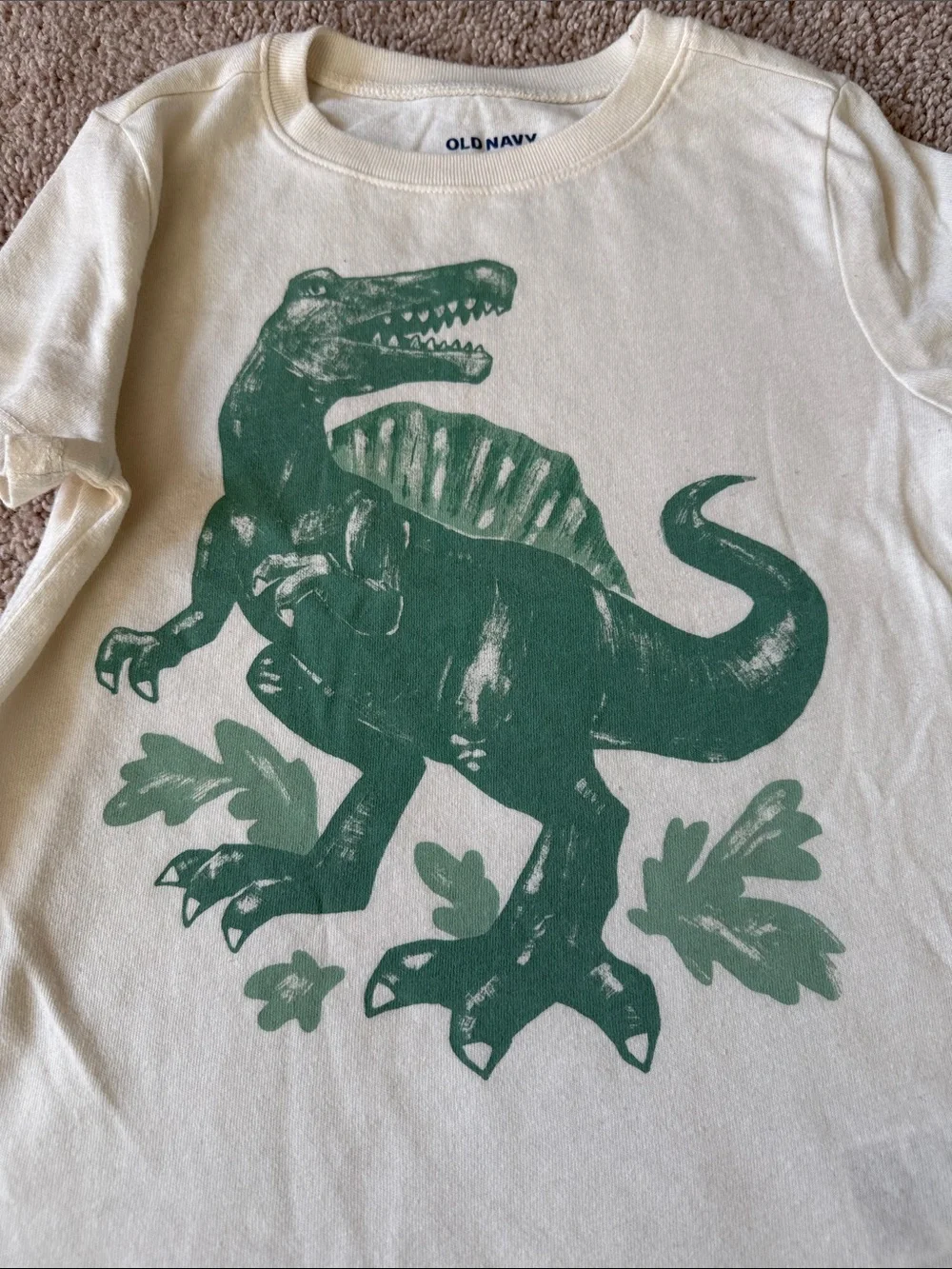 Boys 5T Black & Cream Short Sleeve Tee with Green Dinosaur Prints